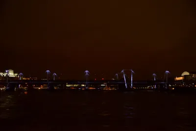 DSC_5721 (Large).JPG